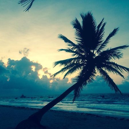 Turquesa Tulum Jungle Camping Hotell Eksteriør bilde