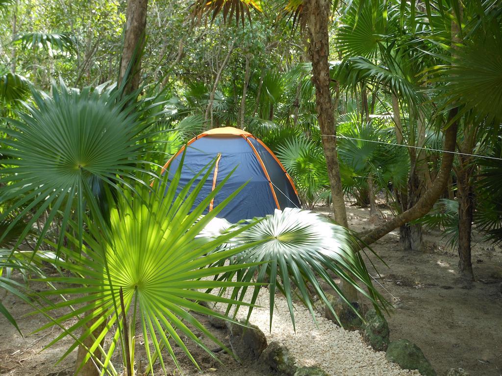 Turquesa Tulum Jungle Camping Hotell Eksteriør bilde