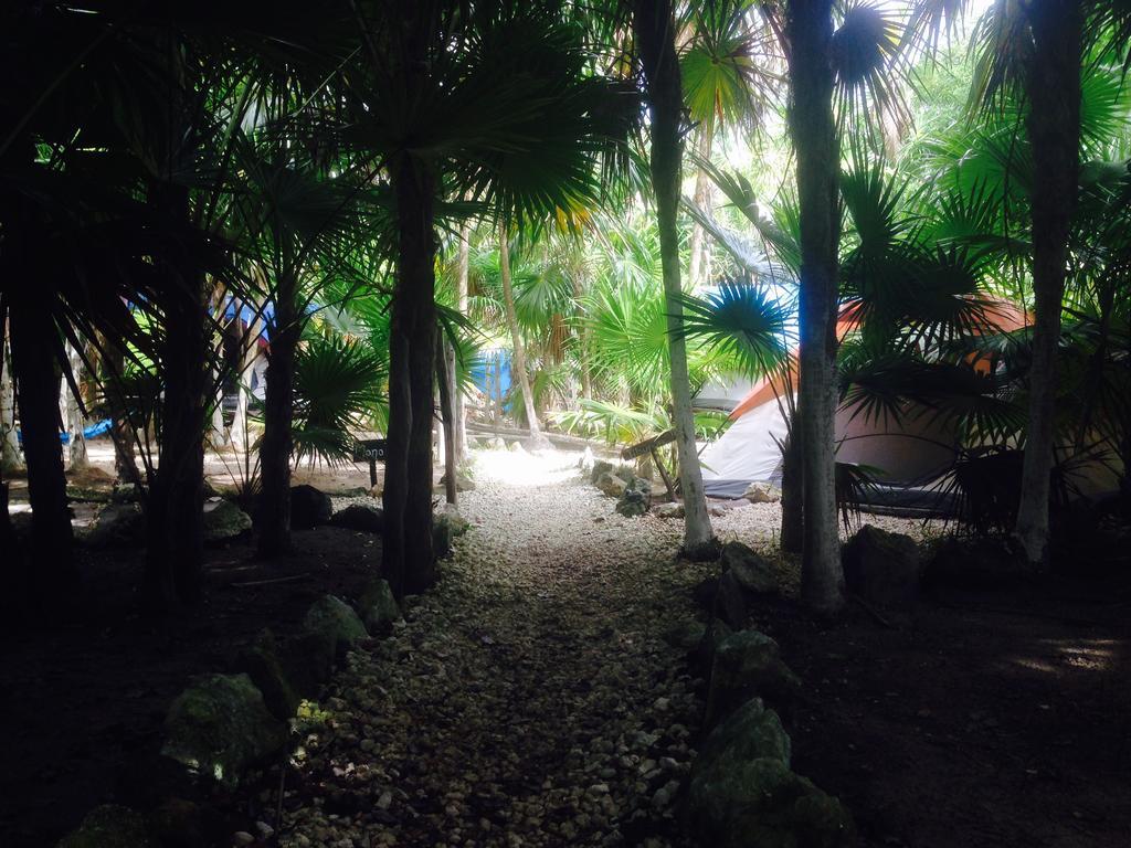 Turquesa Tulum Jungle Camping Hotell Eksteriør bilde