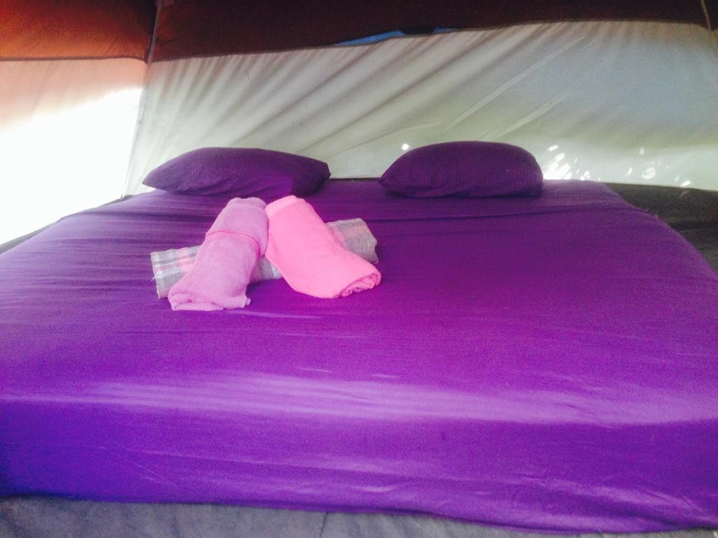 Turquesa Tulum Jungle Camping Hotell Eksteriør bilde